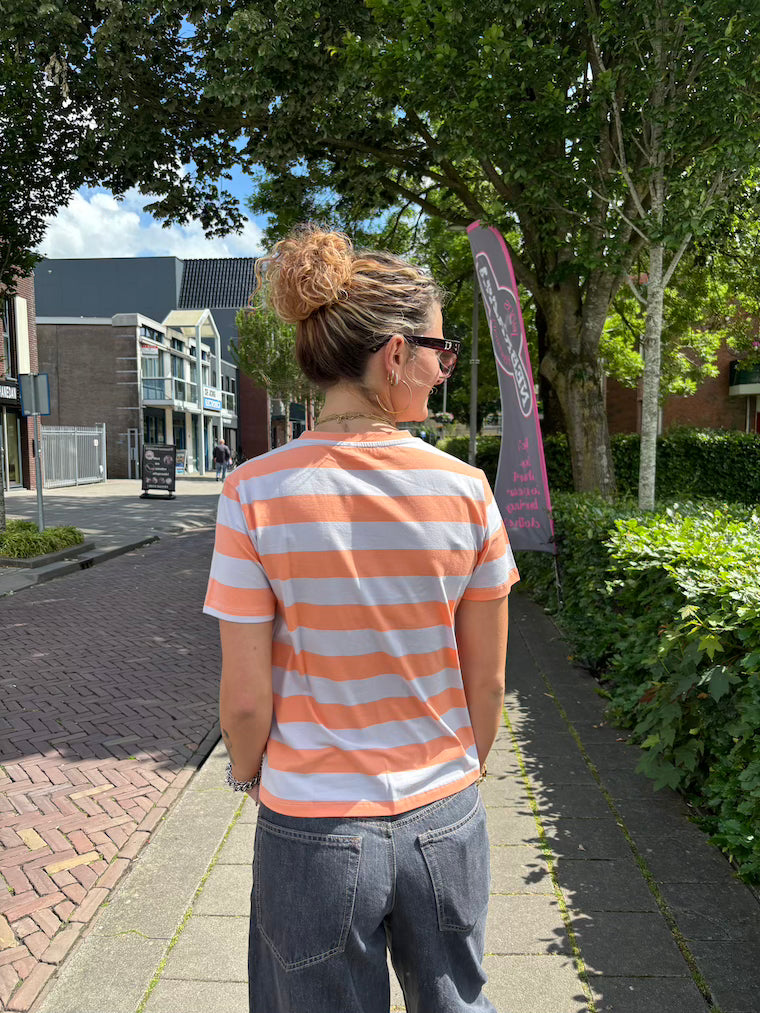 Streepshirt lila oranje