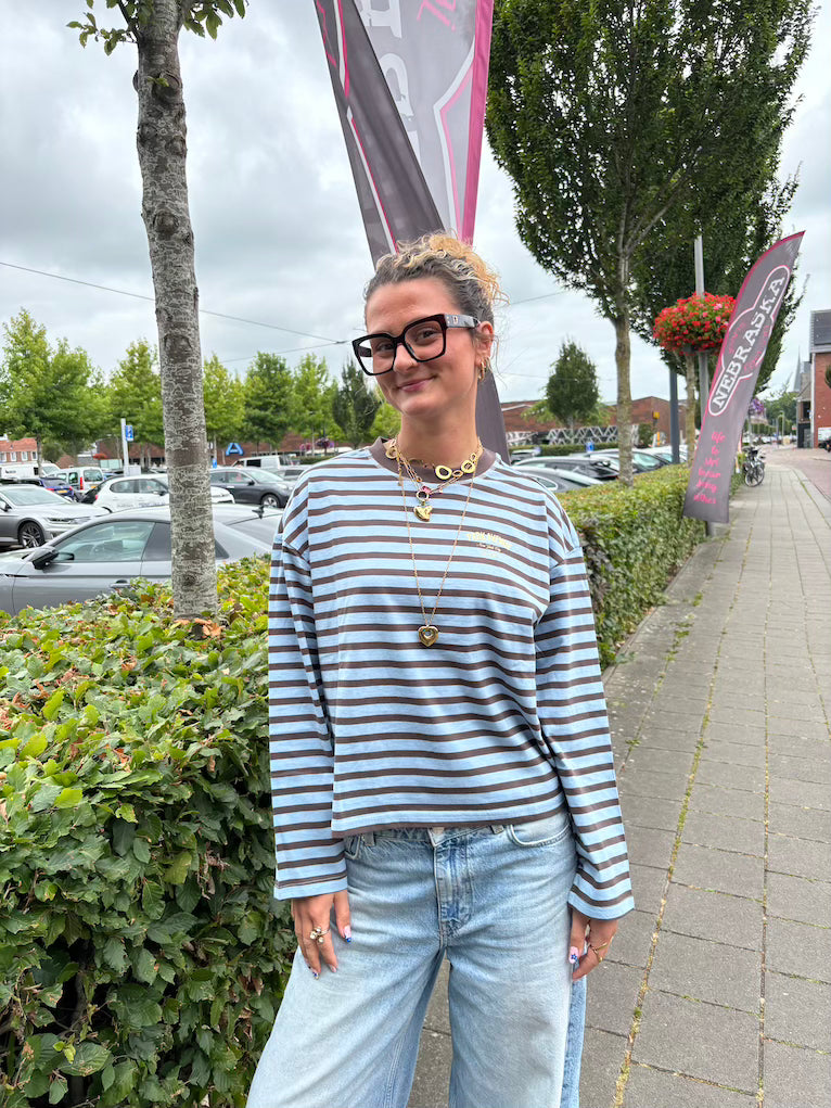 Longsleeve streep blauw/bruin