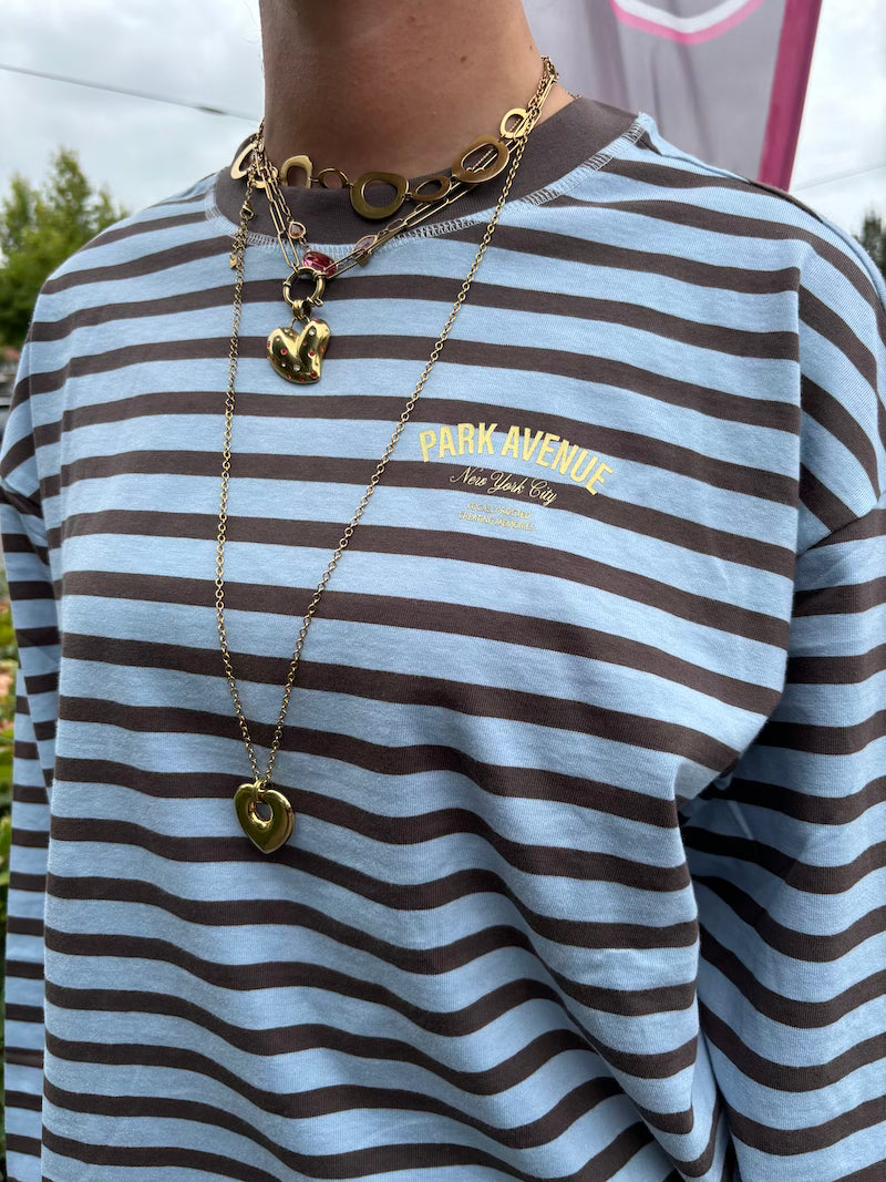 Longsleeve streep blauw/bruin