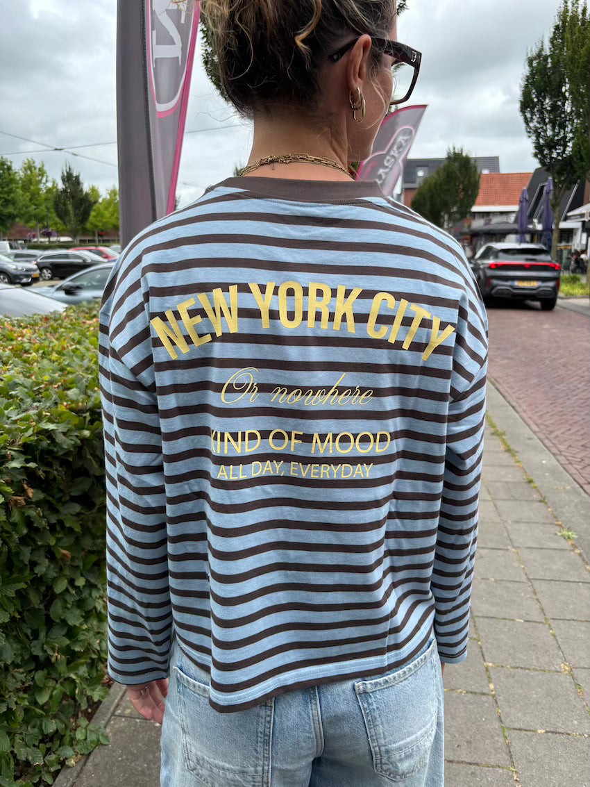 Longsleeve streep blauw/bruin