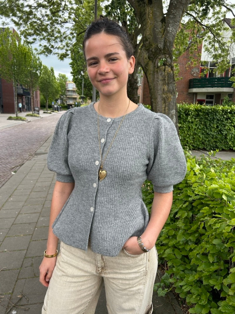 Getailleerd vestje grijs