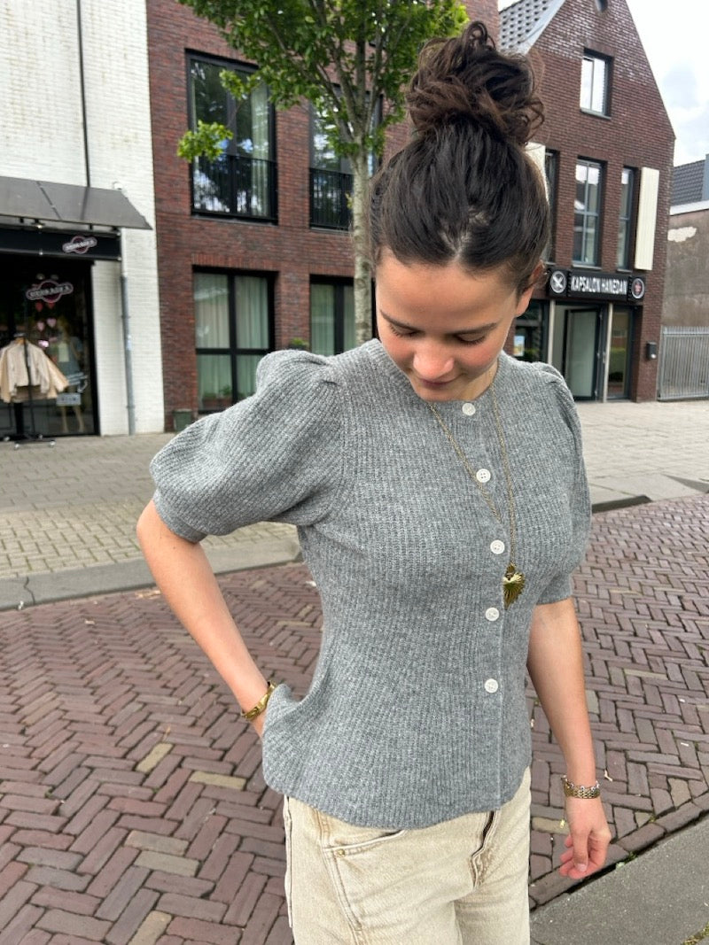 Getailleerd vestje grijs